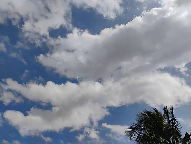 These are the classic puffy, cotton-ball-like clouds. Their large, heaped structure (cumulo means \