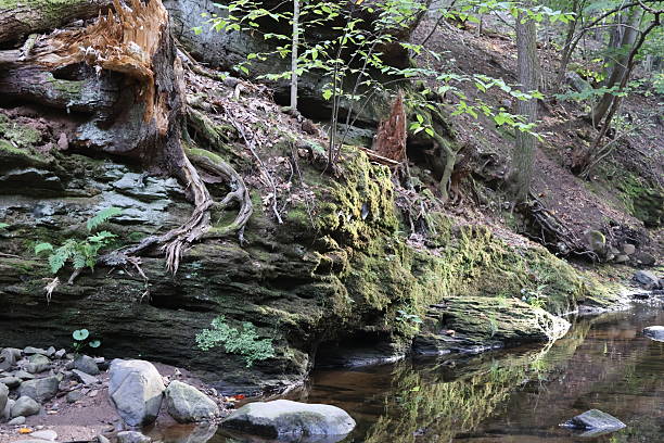 istock Beautiful Facade of a Brook in the Forest 2243977927
