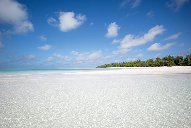 istock Juan de Nova Island - Indian Ocean 2243981834