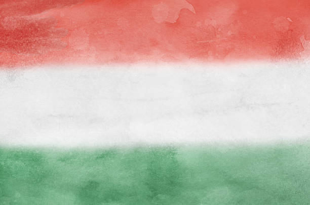 istock Grungy Hungarian flag on vintage background 2243981909