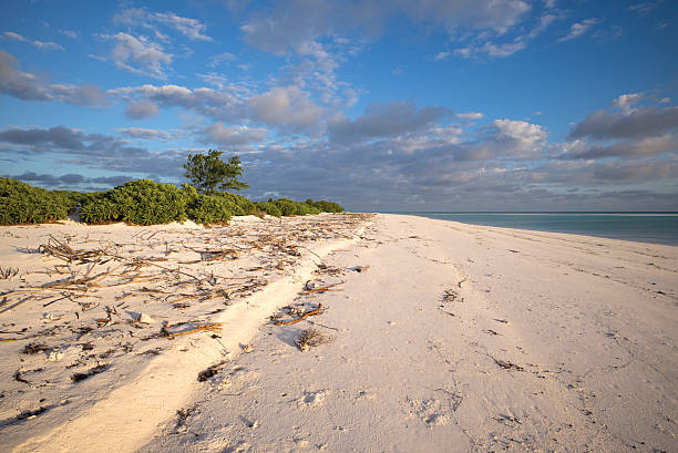 istock Juan de Nova Island - Indian Ocean 2243982165