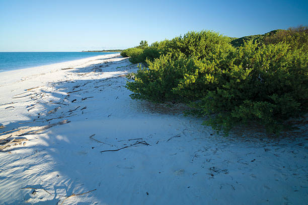 istock Juan de Nova Island - Indian Ocean 2243983314