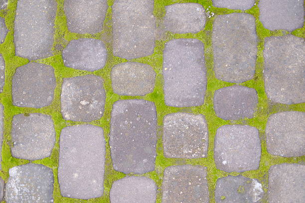Stone pavement with moss growing in the cracks. Close-up overhead perspective.