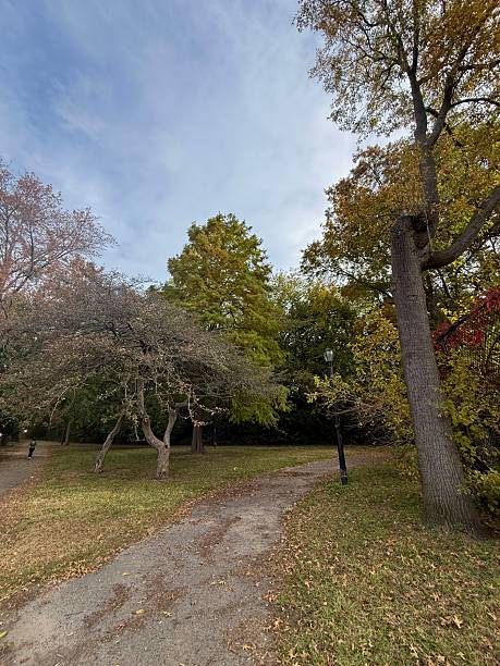 istock Bay Ridge Park ,Autumn Colors 2243987201