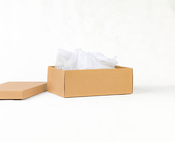 istock Open Brown Kraft Cardboard Box with Lid on White Background 2243989531