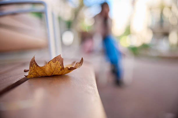 A leaf on a bench with an incidental person in the back.