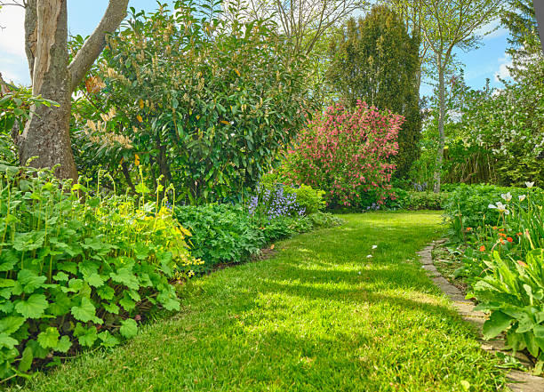 istock Serene Danish garden scene with a sunlit lawn, blooming shrubs, and a winding stone path, showcasing lush greenery and colorful flowers ideal for nature, outdoor living, and peaceful landscape imagery in Denmark 2243993996