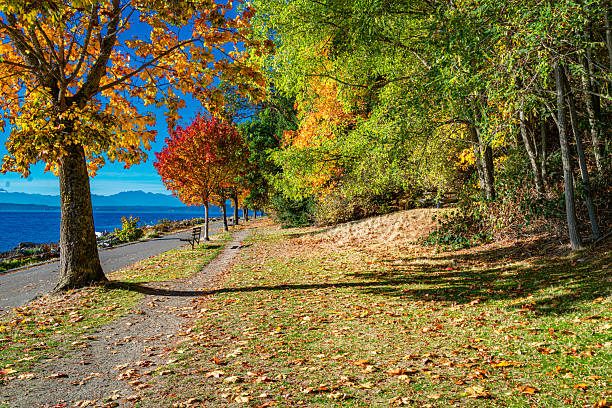 istock Autumn Lincoln Park Shoreline 3 2243998668
