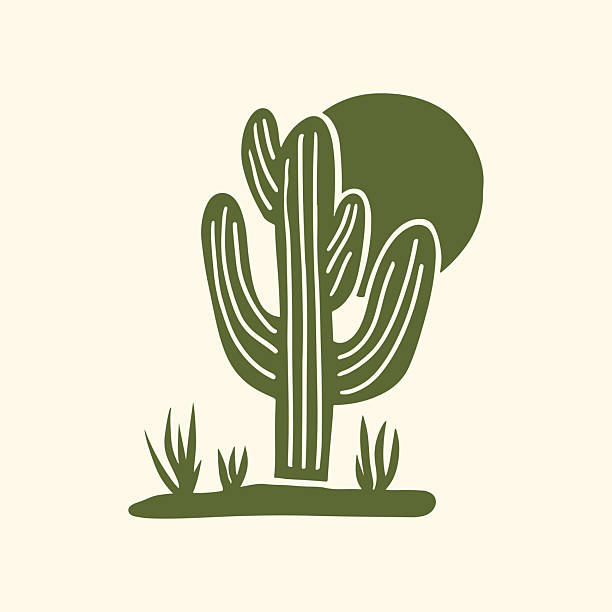 Minimalist Abstract Cactus with Sun Silhouette. ​Desert Landscape Botanical Icon Vector. ​Modern Flat Design Succulent Plant Graphic. ​Green Cactus and Rock Illustration