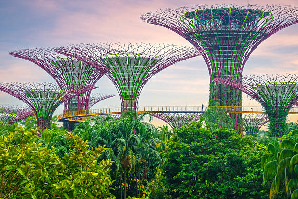 Singapore, 10/13/2025, the famous Supertree Grove in Singapore