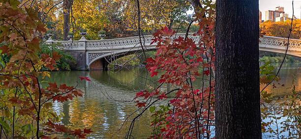 istock Bow bridge in Autumn, early morning 2244002628