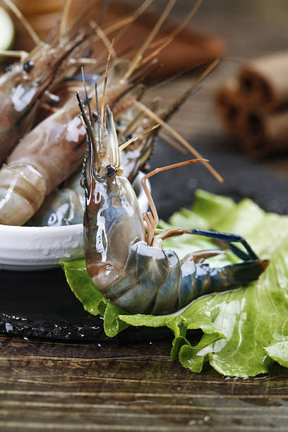 Fresh Raw Prawns and Shrimp on Slate Board with Lettuce - Premium Aquatic Seafood Products Fresh raw prawns and shrimp displayed on dark slate with green lettuce leaves, showcasing premium aquatic seafood products ready for cooking or market display. rochester restaurants stock pictures, royalty-free photos & images