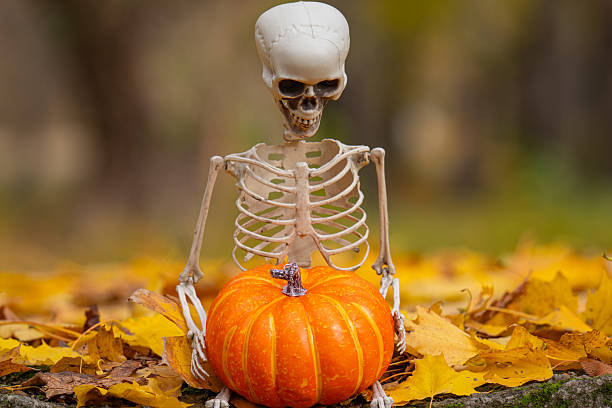Playful Halloween skeletons getting excited as the rolled a pumpkin on it's side.