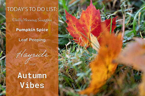 istock Todays to do list, autumn vibes text with colorful fall leaf background. 2244012968