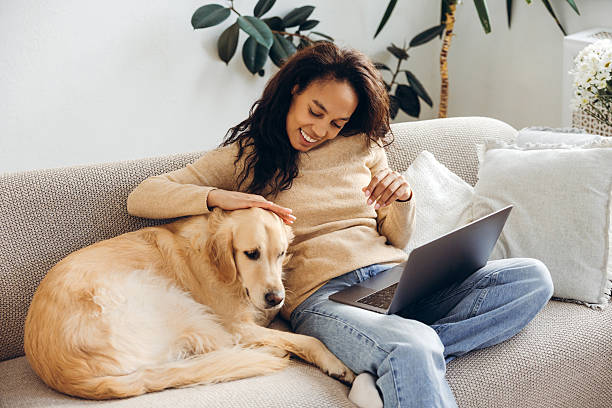 istock Authentic African American woman sitting on comfortable sofa using laptop petting golden retriever 2244013071