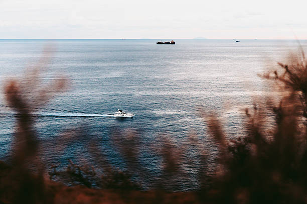 Sea view among the bushes. Ships can be seen on the sea.