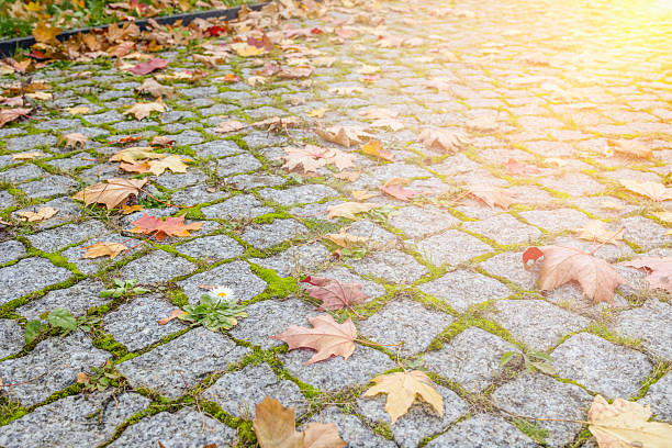 A stone road lit by bright sunlight, autumn leaves, space for a copy. Beautiful background, paved road, stones, background with space for text and advertising, autumn banner