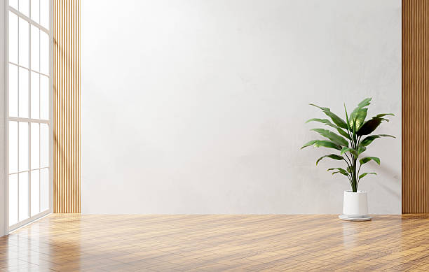 istock White wall and wood empty space background with plant for architecture showing space 3d rendering 2244025083
