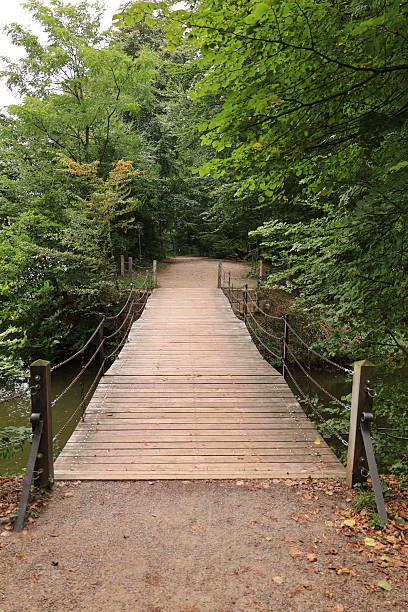 istock Autumn in the Steinfurter Bagnopark 2244031132