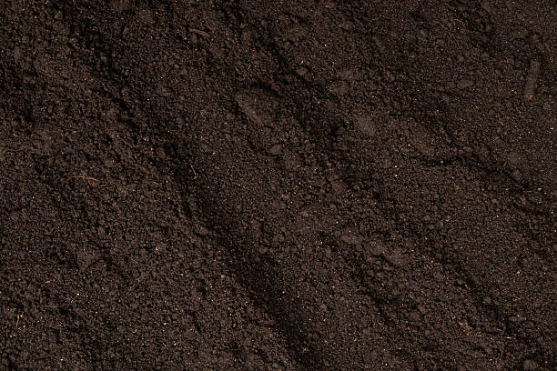 istock Black land for plant background. Top view. 2244040041