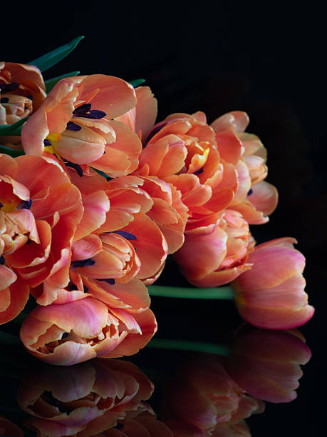 istock Frilly yellow and red tulips placed on a table. 2244041353