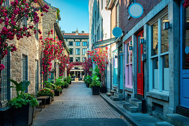 istock Colorful Old Montreal Canada 2244042438