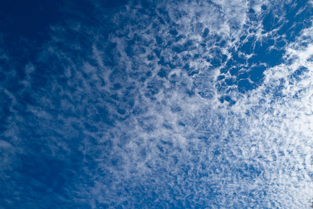 Cloudy skies. Cumulus clouds in sky. Cloud wallpaper. Sky background. Cloudy sky with sunlight. White clouds wallpaper. Blue sky and white clouds background. Idyllic fluffy clouds