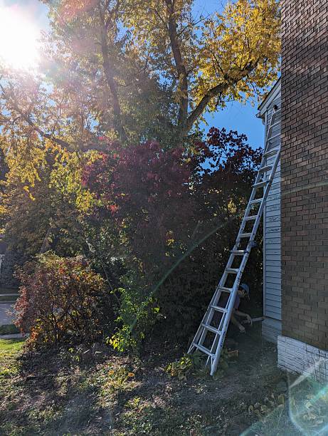 istock Weekend warrior home fixing jobs in the fall 2244044651