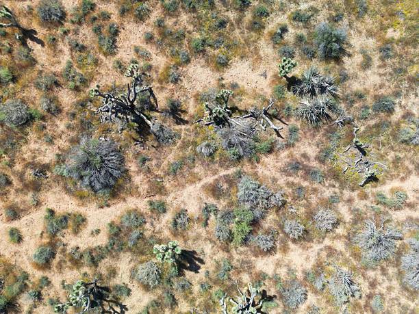 istock Desert landscapes in Nevada 2244044966