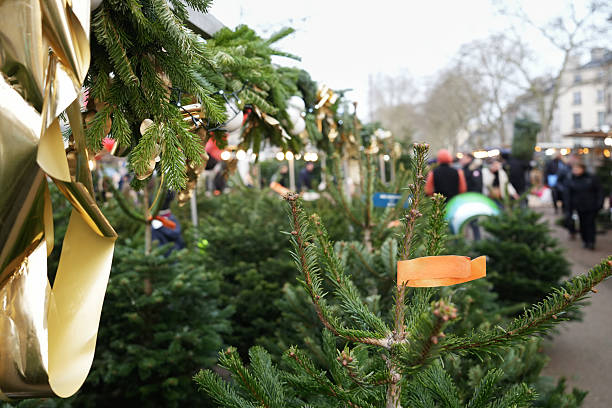 Christmas fair with trees with price tags at the city in Europe