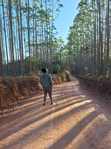 istock Person Walking on Forest Dirt Road 2244046971