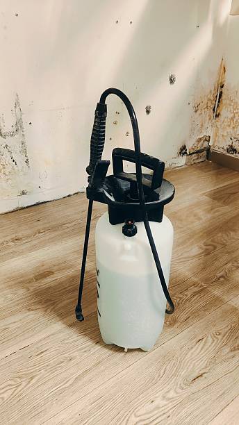 istock Dangerous mold on the wall under the stairs: tools for its removal 2244052881