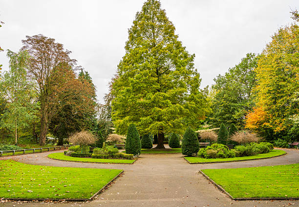 istock Autumn at Chadderton Hall Park 2244056060