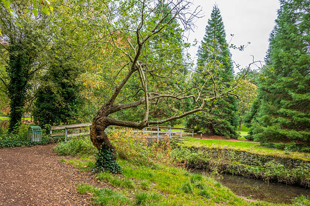 istock Autumn at Chadderton Hall Park 2244056718