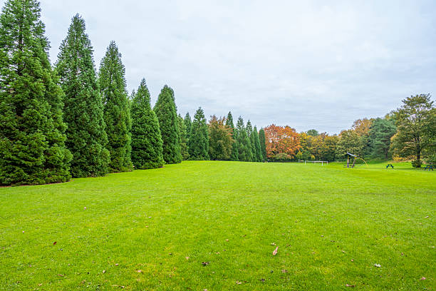 Chadderton Hall Park glows with warm autumn colours and crisp fallen leaves.