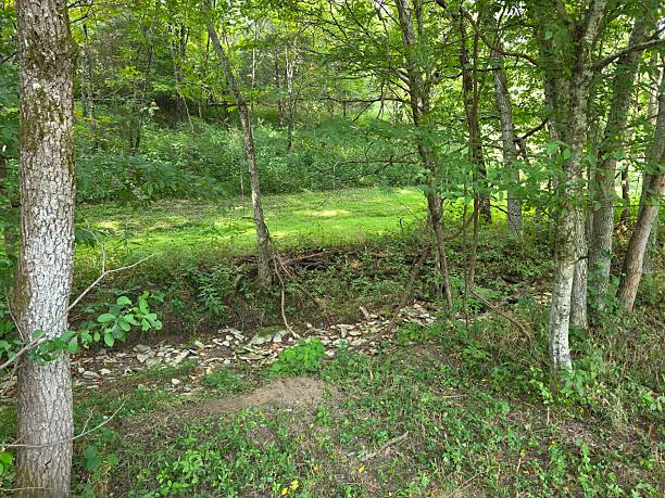 istock Dry Creek Bed in Kentucky 2244058380