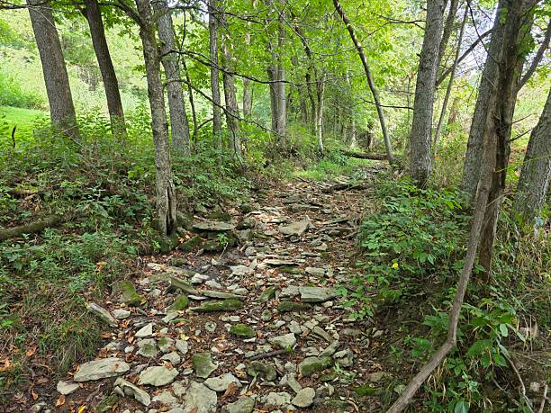 istock Dry Creek Bed in Kentucky 2244058437