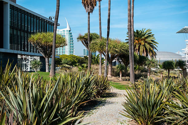 istock Tropical garden with palm trees and modern office building in background 2244059582