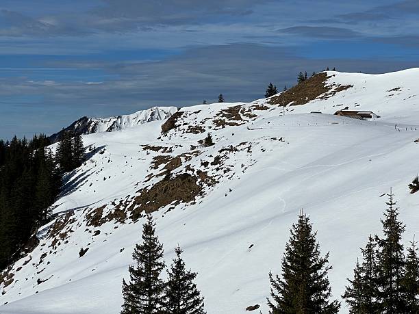 istock Evergreen forest or coniferous trees and alpine pastures in a winter setting above the Engelberg tourist resort - Canton of Obwalden, Switzerland (Kanton Obwald, Schweiz) 2244061678