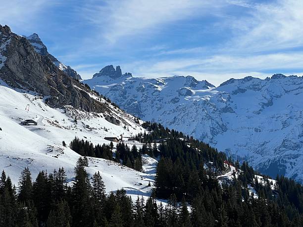 istock Evergreen forest or coniferous trees and alpine pastures in a winter setting above the Engelberg tourist resort - Canton of Obwalden, Switzerland (Kanton Obwald, Schweiz) 2244061692