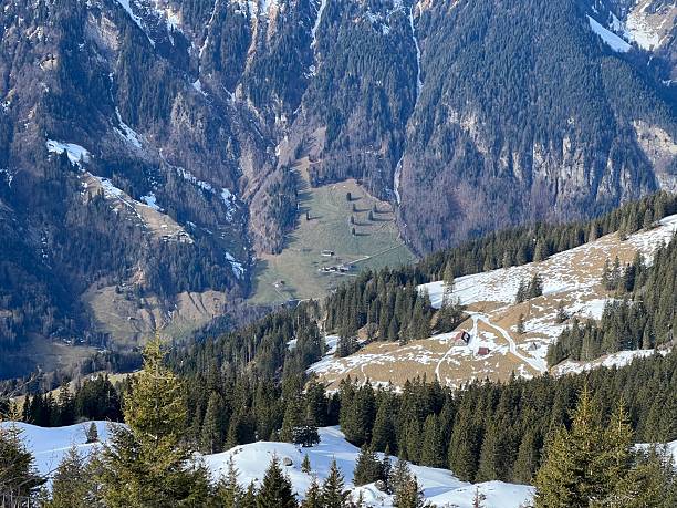 istock Evergreen forest or coniferous trees and alpine pastures in a winter setting above the Engelberg tourist resort - Canton of Obwalden, Switzerland (Kanton Obwald, Schweiz) 2244061699