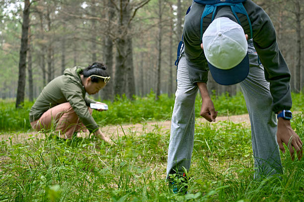 istock People foraging wild plants in a green forest 2244066514
