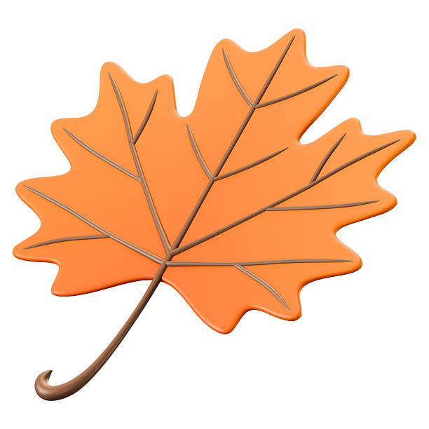 A 3D stylized orange maple leaf illustration for modern autumn fall holiday. Perfect for web graphic, seasonal flyer, social media post. Clipping Path Included. Isolated on white background, 3d illustration.