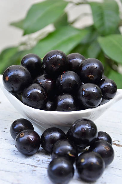 istock Beautiful, ripe jabuticaba fruits (Plinia cauliflora) 2244070555