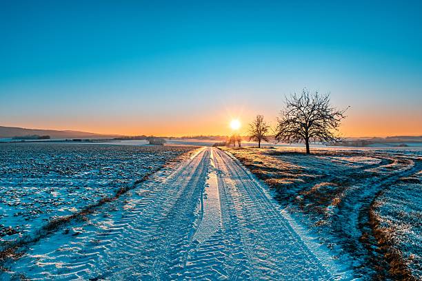 A serene winter landscape with snow-covered fields and a sunrise, featuring tire tracks and bare trees under a clear blue sky.