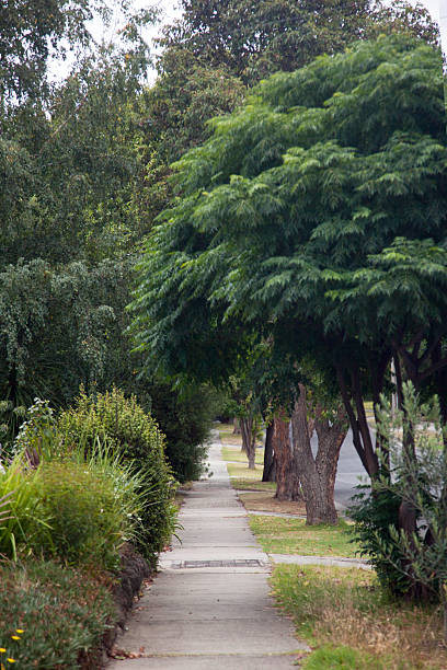 istock A peaceful sidewalk lined with lush green trees and plants 2244071388