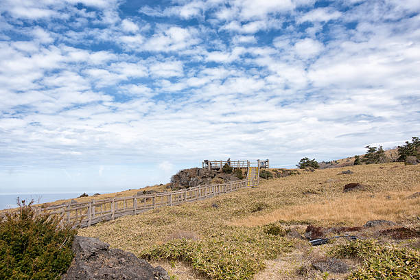 Jeju Island Seogwipo-si, Korea 제주도 한라산 영실