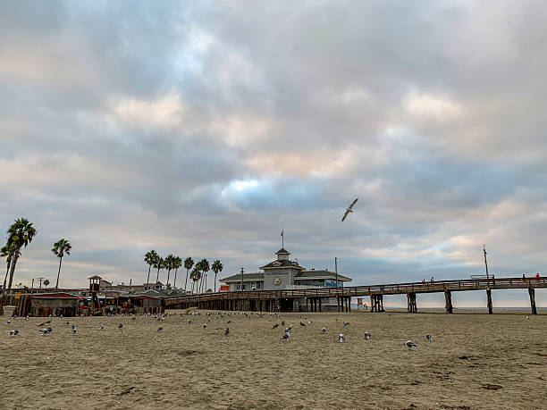 istock Cloudy sky over a beach with a pier and palm trees 2244078193
