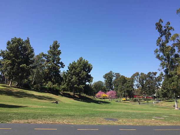 istock A beautiful sunny day in a lush green park 2244078262