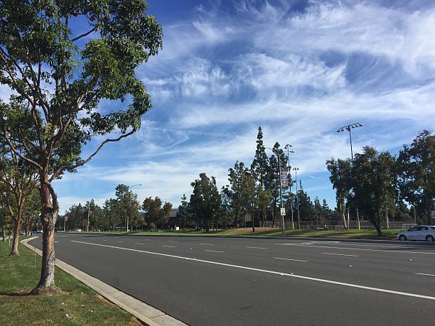 istock A wide road with trees and clear sky on a sunny day 2244078276